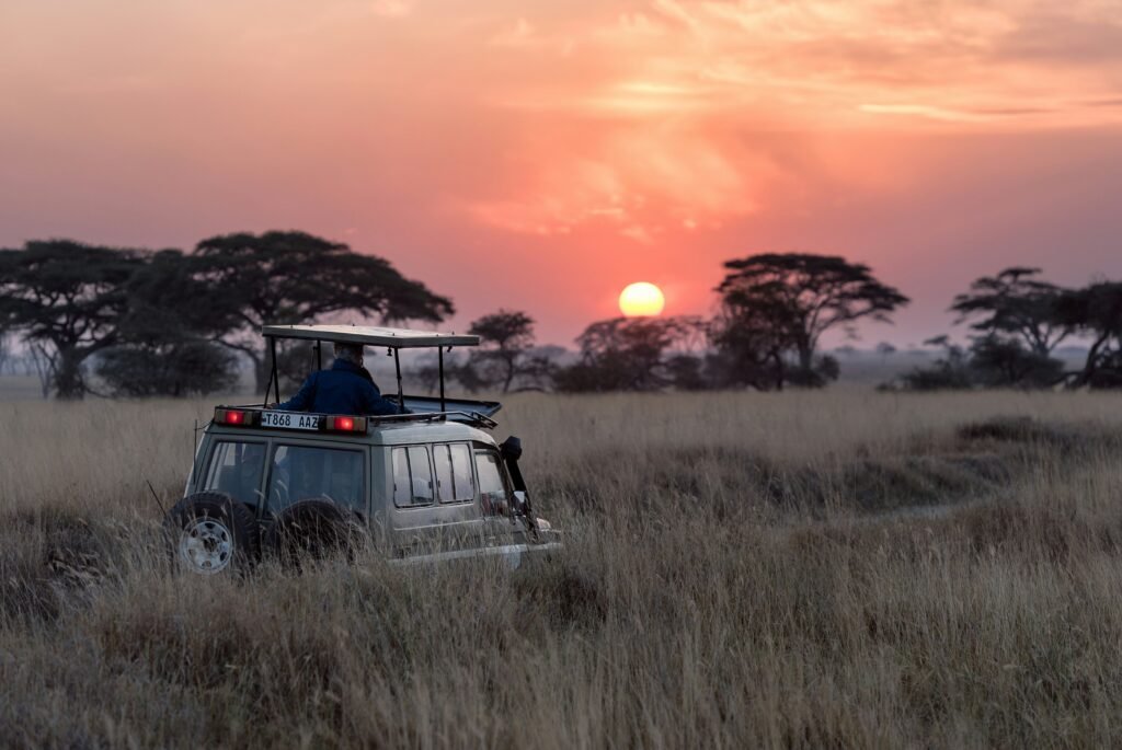 South Africa stands as a beacon for unparalleled safari experiences