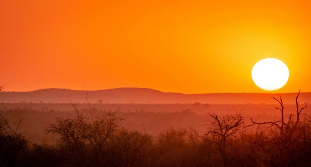 Kruger National Park stands as an emblem of Africa's natural magnificence