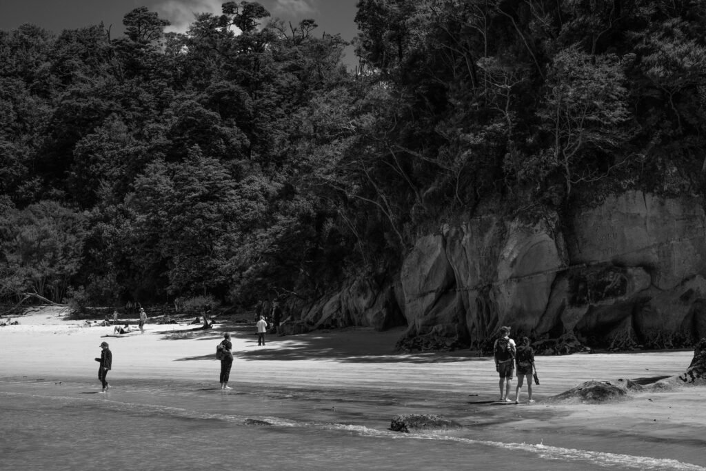 Abel Tasman National Park