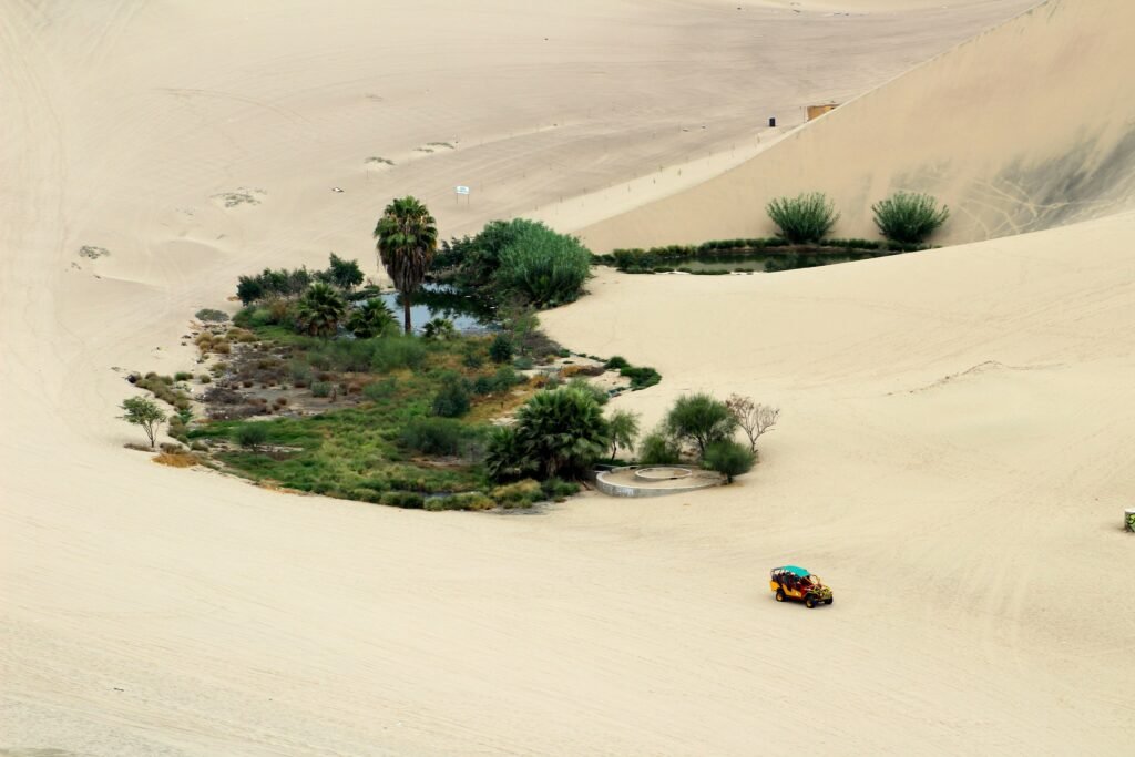 Egypt has several oases in the Western Desert, including the Siwa Oasis, known for its lush date palm groves and ancient ruins.