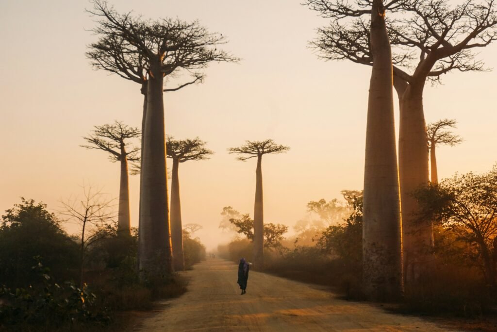 The geological history of South Africa and Madagascar is intertwined through their ancient connection as part of the supercontinent Gondwana